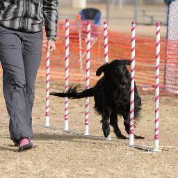 a_Woodroffe's profile picture. 