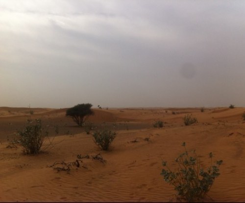 سبحان الله ولا إله إلا الله والحمدلله والله أكبر...ربي اعني على ذكرك وشكرك وحسن عبادتك..ربي حببني في دينك واجعل القرآن ربيع قلبي و نور صدري وذهاب همي وجلاء حزني