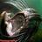 fish_whisper's profile image