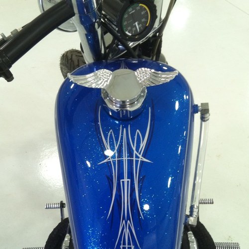 mlburkey's profile picture. 