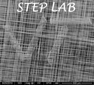 STEPLab1's profile picture. Spinneret based Tunable Engineered Parameters (STEP)