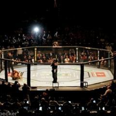 Octagon Blog