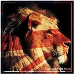 Gazzabretta's profile picture. Tempu Edax Rerum, Carpe Diem