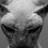 pashaiii's profile image