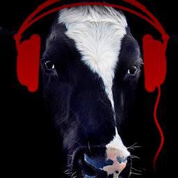 Información rigurosa y actualizada diariamente sobre los conciertos en Asturias.