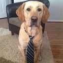 Jake Robertson - @JakeRob31 - Twitter