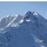 40projectTK (@40project) 's Twitter Profile Photo