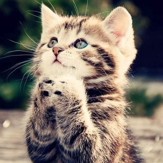 DMCInnovation's profile picture. DMC Innovation is a company in Kitchenware business.