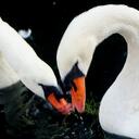 Bill Dan - @billbalance - Twitter