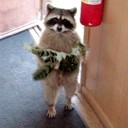 chris creel - @Mr_Creel - Twitter