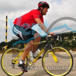 holzhauerp's profile picture. 