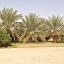 أبوعبدالكريم (@050487959) Twitter