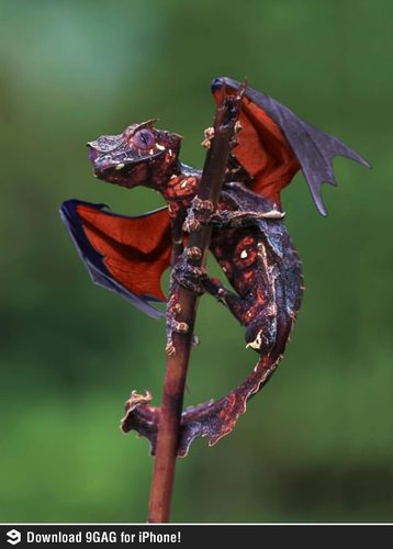 jasimmohd's profile picture. 