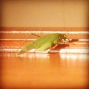 Jc Buck - @JcBuck892 - Twitter