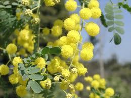 law_you0ch's profile picture. こいしたいなーってそもそもこいとはなんなのだろー？