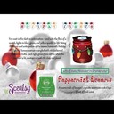 Ray Tanner - @RayTanner730 - Twitter