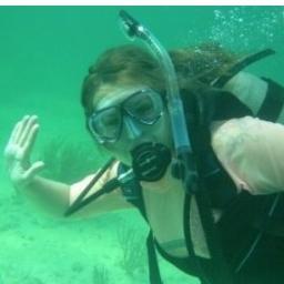 AnnaVerrill's profile picture. Inspired by GIS for over a decade. | Cartography, Map Services, Team Leadership, QA/QC & SCUBA Diving. | My tweets are my own thoughts.