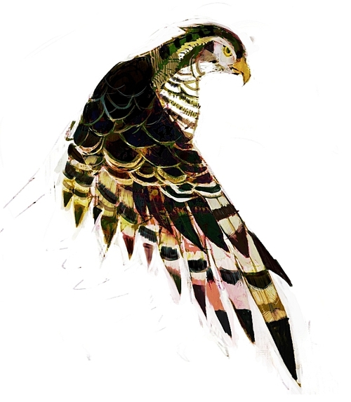 piripora's profile picture. 