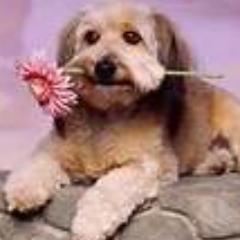 StellaAngela77's profile picture. 