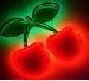 CherryBear's profile picture. One of THEM. Part of The Others.