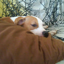 Steven Pennington - @Stevenpenn - Twitter