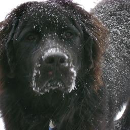 FunkyFreshKaren's profile picture. 