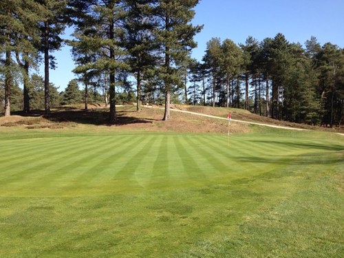 JuniorGolfUK Profile Picture