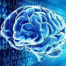 ServerVPS's profile picture. Servere VPS ieftine in Romania. Avem un server VDS ieftin pentru tine.