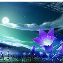 Jack_Ribeiro25's profile picture. Amando!!!