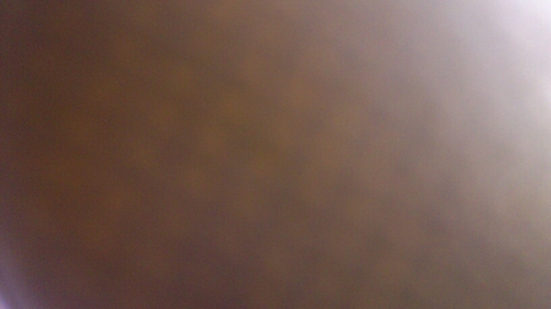 StefanieGraca's profile picture. 