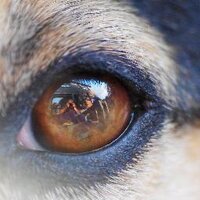 frits leensma (@frits_leensma) 's Twitter Profile Photo frits leensma (@frits_leensma) 's Twitter Profile Photo