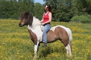 Två underbara barn och man.Passion i hästar, studerar psykologi och älskar livet. E books writer, love horses and children. 
http://t.co/o2OZSTMqvc