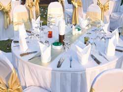 Your Wedding Linen supplies best wedding related products including various tablecloths, chair covers, chair sashes napkins, & table runners at wholesale price.