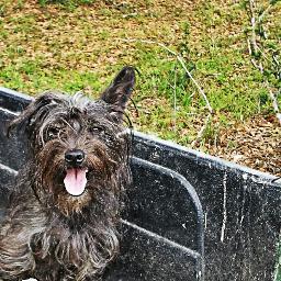 Bay_Creek's profile picture. We're your other family doctor.