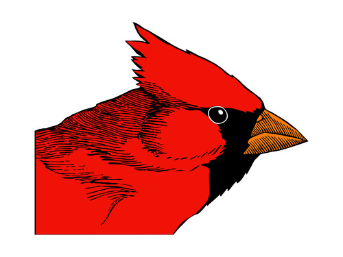 NurseriesNative's profile picture. We strive to bring people and nature together in their yards and gardens
WHY NATIVE? Native plants are well adapted to our area and support our native wildlife