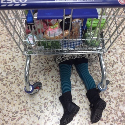 Brown_Study_H's profile picture. 