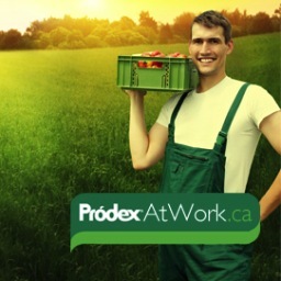 ProdexAtWork's profile picture. Deliverying fresh & local produce to your work office.
Buy fruit & vegetables by the basket or piece.