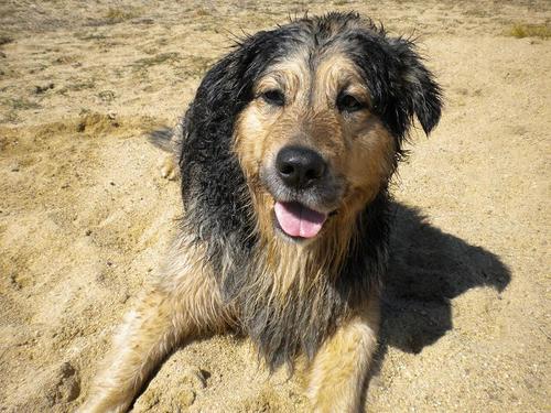 alambres25's profile picture. 