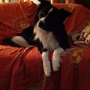 Michele Petta - @MichelePetta - Twitter