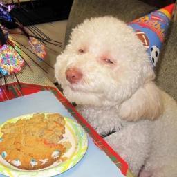 Very fond of food.