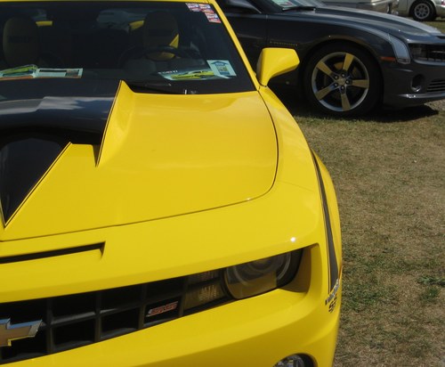 WegnerMotorSprt's profile picture. Building big, fast, custom racing engines that will blow the doors off your hot rod!