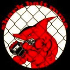 Limerick's premier Mixed Martial Arts gym. MMA, Striking, Fitness, Wrestling and Sub Wrestling. Contact Ger Healy on 087 2775579 for more information