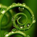 Abdullah Hallak - @AbdullahHallak0 - Twitter