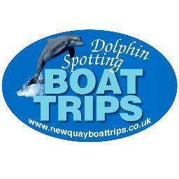 Join Winston Evans for the best value dolphin boat trip in the area. Approved by the Sea Watch Charity, we do not approach the dolphins, they approach us !