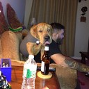 Gary Will - @GaryWill868 - Twitter