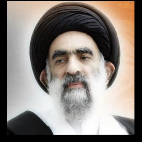 السيد هادي المدرسي 