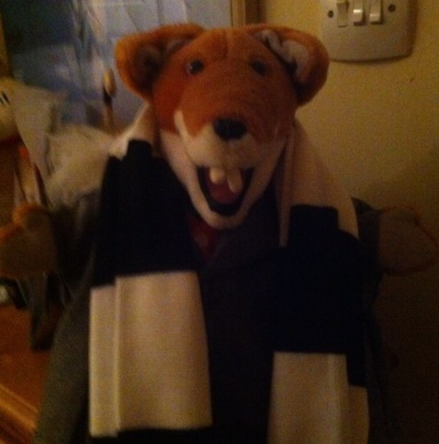 Architect, St Mirren Fan, Toon Army foot soldier, London , Hampshire & Dorset Freemason, Wombassador, Wit and Rat Counter.
