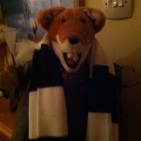 Alan MacLean (@bigscotsal) 's Twitter Profile