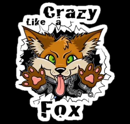 Crazy Fox Sublimefoxy Twitter