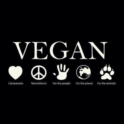 Doing our best to help manifest a peaceful Vegan non-toxic world future. Abolitionist. No H8. We love Animals, the Earth & delicious Vegan food